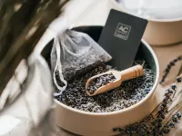 AC酒店-舊蒙特利爾 鄰近雅克·卡蒂埃广场的酒店
