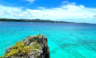 Abundance Okinawa