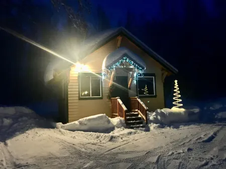 Takleetnas Mount Dall Cottage with Wi-fi and Washer/Dryer