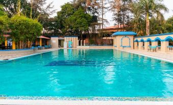 Treebo the Blue Roof