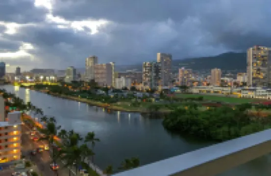 Palms at Waikiki 219