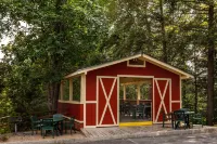 بلوجرين فاكيشنز ماونتن لوفت