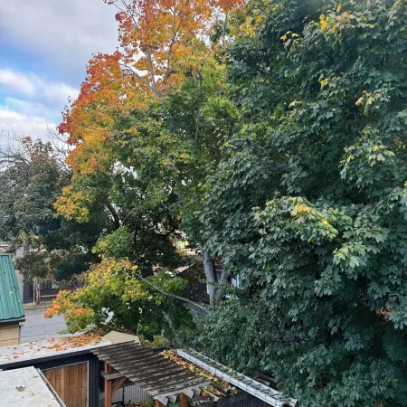 Best location! King bed master suite with private rooftop patio and steam room.