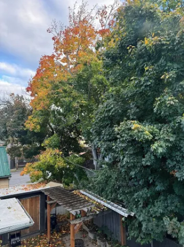 Best location! King bed master suite with private rooftop patio and steam room.