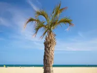 hotelF1 Perpignan Sud Hotels in Millas