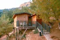 Tree Houses Hotel Hotels in Uzunyurt Mahallesi