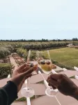 Quinta Dos Perfumes - Ocean View