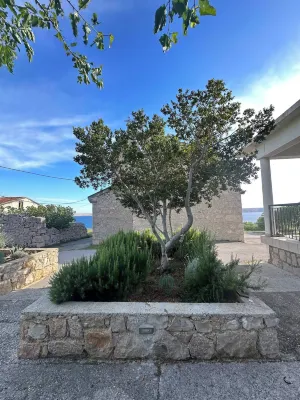 Perfect Apartment in Nature Park Hotels in Starigrad