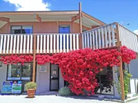 픽턴 캠퍼번 파크  호텔