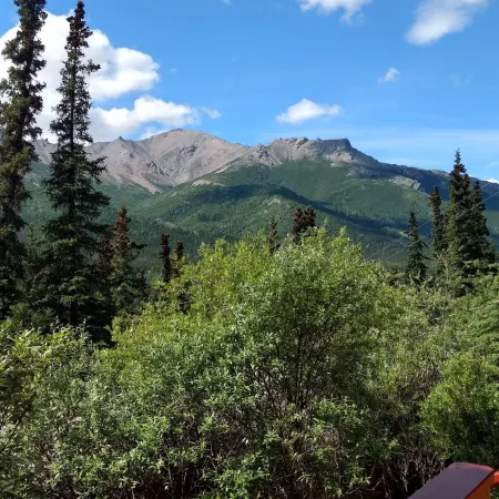 Denali Crow's Nest Cabins