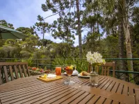 Green Village Hotel Hotels in Monte Verde