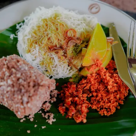 Celestia Ayurveda Resort