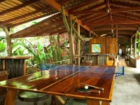 Tiskita Jungle Lodge Hotels in Pavones