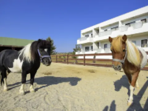 Bon Hotel City & Resort Silivri otelleri