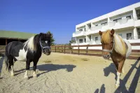 Bon Hotel City & Resort Hotels in Çatalca