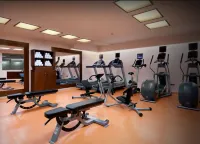 Eurostars Palacio Buenavista - Gym