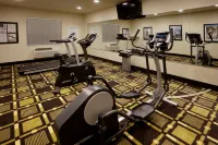 Holiday Inn Express & Suites MARBLE FALLS by IHG - Kuntosalit