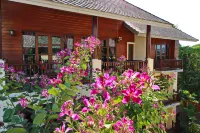 Shewe Wana Suite Resort