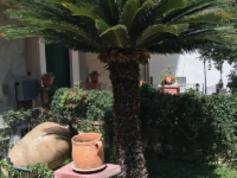 Arte & Mare Hotels in Patti