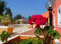 Joanna Apartments Hotels in Kontokali