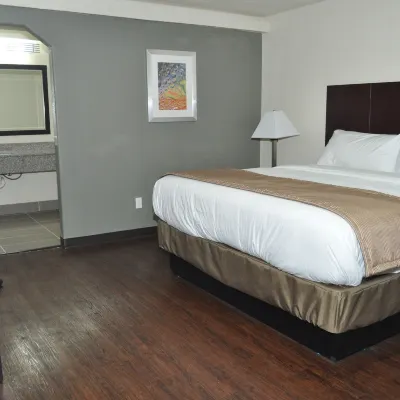 Trinity Suites Downtown Dallas Hotels near Dallas Zoo