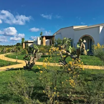 Tenuta Vigna Corallo - Mimosa