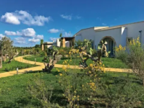 Tenuta Vigna Corallo - Mimosa