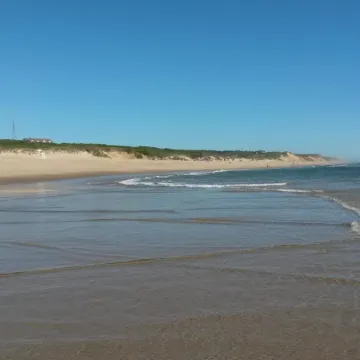 Viking Shores Motor Inn