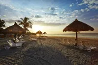 Grand Decameron Panama, A Trademark All Inclusive Resort - Beach