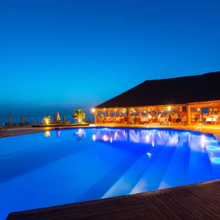 Royal Horizon Baobab