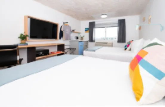 아나코르테스 인