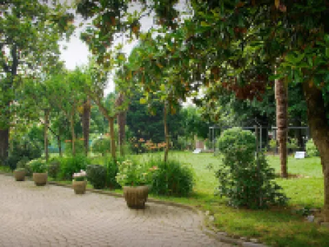Hotel Damian Park Hotel Delle Magnolie Hotel a Trofarello