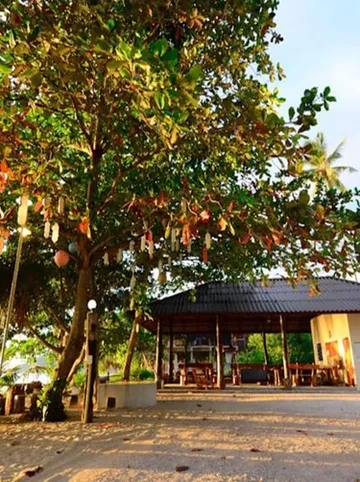 รูปภาพของบ้านชายเลรีสอร์ท ขนอม