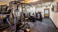 Best Western Plus Sanford Airport/Lake Mary Hotel - Gym