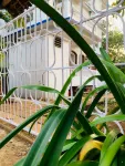 The Bodhi Tree Resort