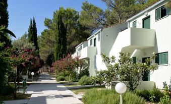Apartments in Zaton with Pool