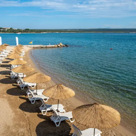 Duja Didim