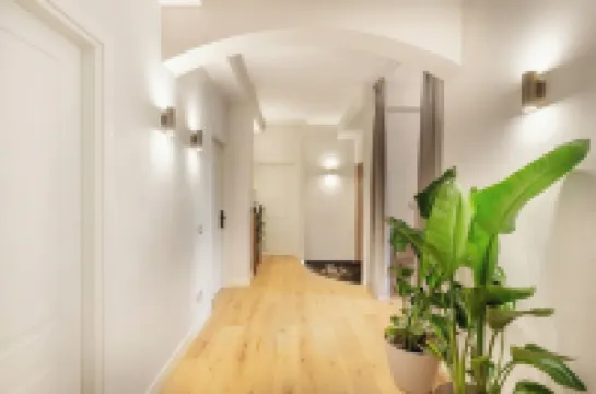 The Rubens Collection