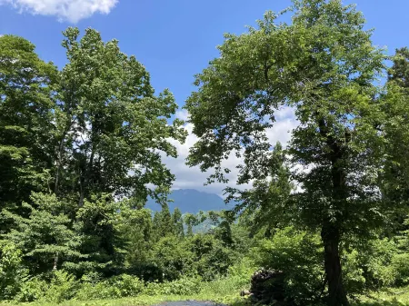 Japanese Style Pension Kotorinoki