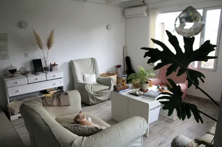 Casa Amonite Hostel Boutique