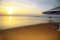 Brown Dead Sea - Beach