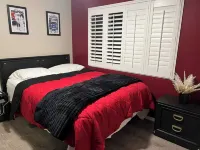 Your pet friendly Tampa pool home, right between the beaches and Tampa proper!