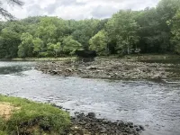 Paradise on the Little Red River and prime trout fishing! - Chalets