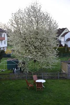 Home on time at the edge of the Documenta city of Kassel Hotels in Lohfelden