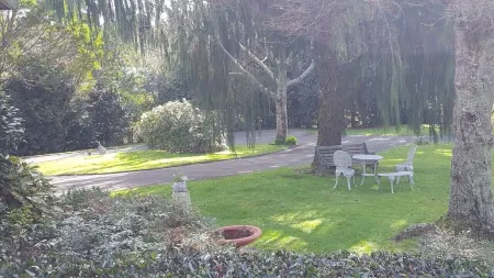 Valley Hideaway, Peace & Quiet. Smoke, Vape Free Property. No Cleaning Fee. Отели рядом с достопримечательностью «Парадайс Вэлли Спрингс»