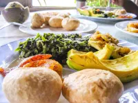 ZYANI Boutique Resort  Breathtaking Seaside location Chef, Massage therapist,