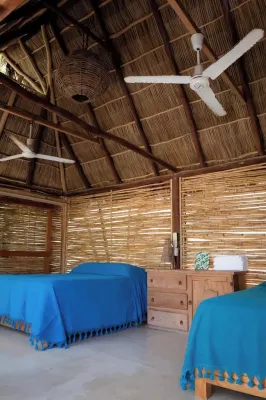 An exclusive jungle hideaway just steps from Plaza and the beach