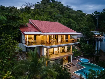 Breathtaking Jungle Views and Abundant Wildlife -  Large pool.