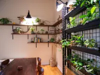 Mountain Jungalow on Main Street, 3 min walk to Royal Gorge Train