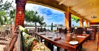 Breathtaking Ocean Front Sea Palm Villa #3